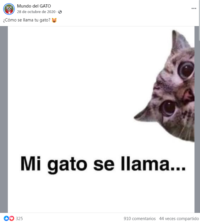 post facebook gatos